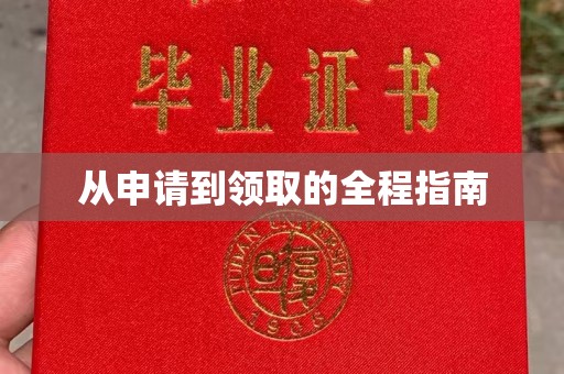峨山从申请到领取的全程指南
